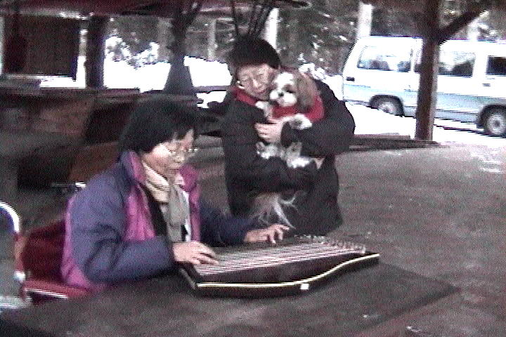 �J�i�f�B�A���t�@�[���Œe��